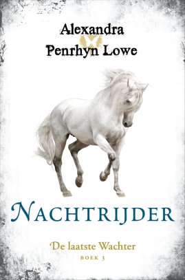 222408-nachtrijder-c5d6b5-large-1471943943